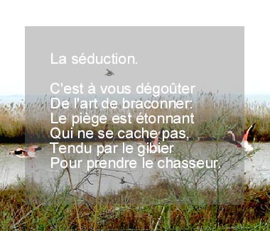 La Séductucion